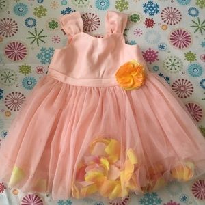 Baby Girl Peach Petal Dress